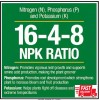 Vigoro 3.5 Lb. All Season Tree, Shrub and Evergreen Plant