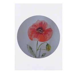 'poppy flower' Temporary Tattoo - Water Resistant, Skin-Safe, Non-Toxic Transfer (TO00064231)