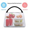 MOLIAN Axolotl Lunch Bag Insulated Lunch Box Cooler Tote Bag