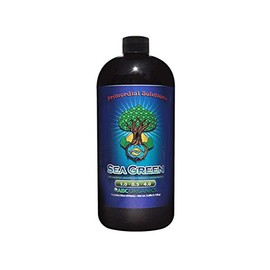 Sea Green 32 OZ Bottle