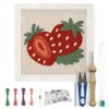 FREEBLOSS 9.4 x 9.4 inch Strawberry Punch Needle Starter Kits.