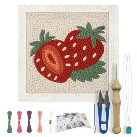FREEBLOSS 9.4 x 9.4 inch Strawberry Punch Needle Starter Kits. DIY Punch Needle Craft Set with Frame for Beginners with Complete Tool Yarn and Instructions