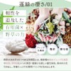 越後酵素蓬緑 酵素ドリンク パウチタイプ 25ml×7包 お試し 無添加 酵素ドリンク ファスティング 置き換えダイエット