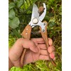 Pruning Shears, Flower Cutters for Stems, German Stainless Steel Blades,