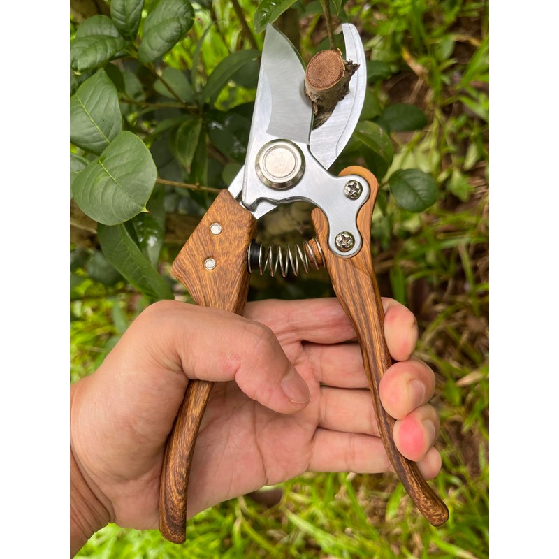 Pruning Shears, Flower Cutters for Stems, German Stainless Steel Blades,