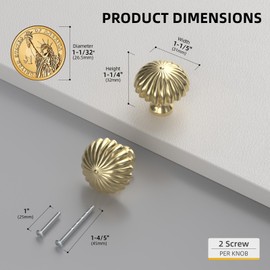 goldenwarm 10 Pack Gold Cabinet Knobs Brushed Gold Cabinet Handles Zinc Alloy Brushed Brass Drawer Knobs Kitchen Dresser Hardware for Cupboard Bedroom Drawer Pulls