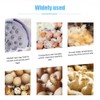 9 Eggs Incubator with Temperature Display, Egg Candler Light and