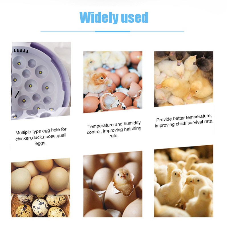 9 Eggs Incubator with Temperature Display, Egg Candler Light and