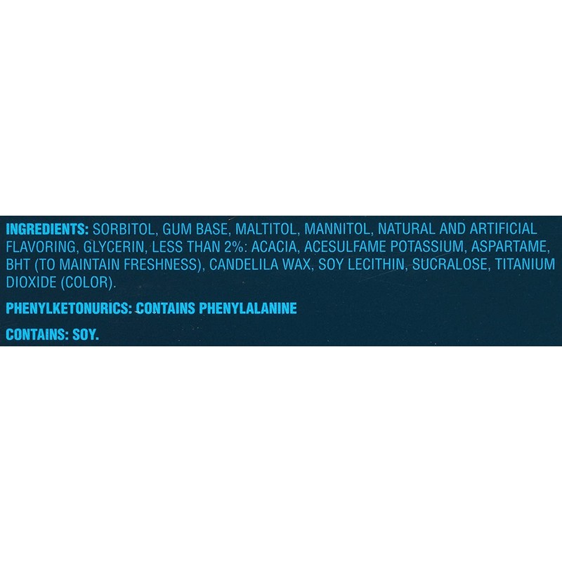 Dentyne Ice Sugar Free Gum (Winter Chill 16 Piece Pack