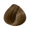 L'Oréal Professionnel Tone-on-tone hair colour 8.3: Light Blonde Gold