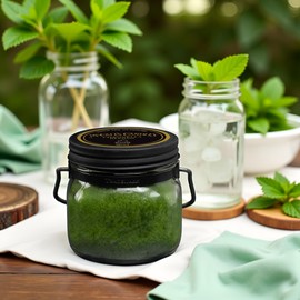 McCall’s Candles | Mint Citronella | 16 oz Two-Wick Scented Candle | USA-Poured | Vintage Mason Jar | Outdoor Patio Candle with Cool Mint & Peppermint