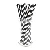 Picture Perfect Party Premium Paper Straws [Pack of 25 Drinking