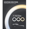 22" Foldable LED Ring Light with Super Phone Mount, Dimmable