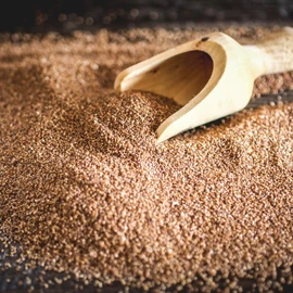 Maskal Teff Organic Brown Teff Grain, 14 Ounce