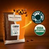 Fresh Roasted Coffee, Organic Ethiopian Yirgacheffe | USDA Organic, Kosher,