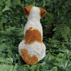 Vivid Arts - Wire Hair Jack Russell - Indoor Outdoor