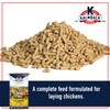 Kalmbach Feeds All Natural Layer Pellet, 50 Lb