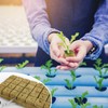 XCRPRT Rockwool Cube, Rock Wool Set, Rock Wool Growing Propagation