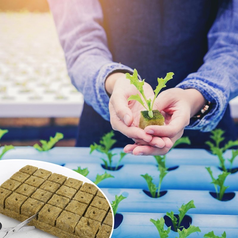 XCRPRT Rockwool Cube, Rock Wool Set, Rock Wool Growing Propagation
