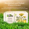 NutroGusto Tea – Fennel tea - 40g