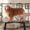 IVEKEN Dog Nail Grinder Bits for Dog and Cat Pet