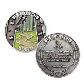 The Achieve Mint 6 Months Sober Token | Six Months Sobriety Chip | Non-AA, Non-Religious Medallions for Men and Women Celebrating Sobriety