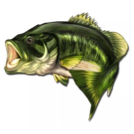 Real Sticky 12" Large Mouth Bass Fish Sticker Fishing Car Boat Vehicle Window Decal Graphic