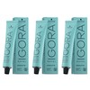 Schwarzkopf Igora Royal 10-1 Set 3 x 60ml