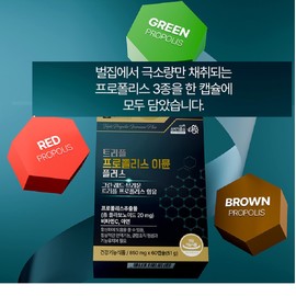 Propolis Zinc C Antioxidant 60 capsules 2 months supply / 프로폴리스아연c 항산화 60캡슐 2개월분