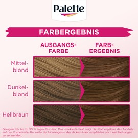 Palette Tint Cream 6-5 Chestnut Blonde (3 x 115 ml), Temporary Colouration without Ammonia for Gentle Grey Hair Coverage, Hair Colour for Gradual Washing, Lasts up to 28 Hair Washes