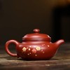 Zisha Teapot 8.8 Oz Yixing Clay Handmade Teapot with Filter,Chinese