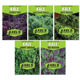 Kale Seeds for Planting - Plant & Grow Heirloom Kale Varieties Home Outdoor Garden – Easy Grow Planting Packet Instructions Included, Great Gardening Gift – 1 Packet of Each Variety