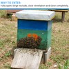 12Pcs 2 Sizes Stainless Steel Beehive Entrance Gate Beehive Entrance