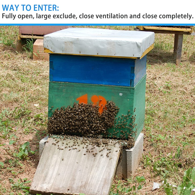 12Pcs 2 Sizes Stainless Steel Beehive Entrance Gate Beehive Entrance