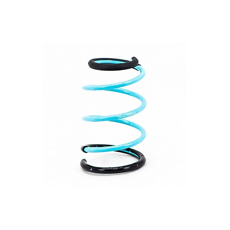 Godspeed LS-TS-MC-0001 Traction-S Performance Lowering Springs, Improve Overall Handling And