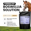 Liquid Boswellia Serrata For Horses