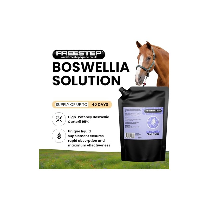 Liquid Boswellia Serrata For Horses