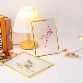 Picture Frame, Glass Frame, 2 Pieces, Hanging Glass Metal Photo Frame, Plant Sample Clip for Pressed Flowers, Photos Only Glass Frame, 13 x 18 cm, Golden