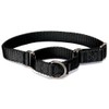 PetSafe Adjustable Martingale Collar - Only Tightens When Dogs Pull,