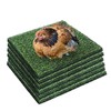 Aifong 6 Pack Nesting Pads for Chicken Coop 12” x