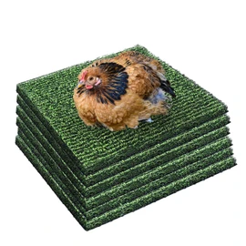 Aifong 6 Pack Nesting Pads for Chicken Coop 12” x 12” Chicken Nesting Pads Washable Plastic Nesting Box Pads Chicken Coop Accessories for Chicken Hen Box Laying Eggs (Green)