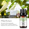 Lily Essential Oil 100% Pure Oganic Plant Natrual Lily Oil