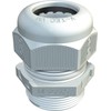 V-TEC-Verschr.M16x1,5 lgr vollmetrisch, lichtgrau