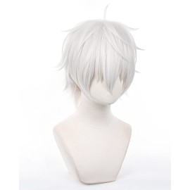 Seijiro Nagi Cosplay Wig, Seijiro Nagi, Anime, Heat Resistant, Costume, Accessory for Parties, Events, Costume, Includes Wig Net