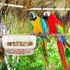 DECHOUS 2Pcs Bird Feeders for Cage: No Mess Parakeet Cage