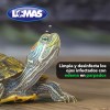 Grupo Acuario Lomas Aclarador Para Ojos Tortuga 60ml Limpia Edema