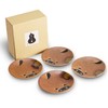 Fukubeya Mino Ware Raccoon Plates, Set of 4, Made in