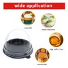 Clear Plastic Mini Cupcake Container, Mini Cupcake Boxes Mooncake Boxes