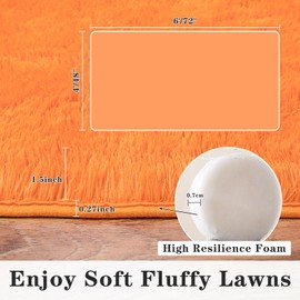 Dssimo Super Fluffy Rug for Bedroom, 6x9 Feet, Modern Shag Orange Area Rugs, Soft and Cozy Plush Large Carpet for Kids, Girls Boys and Teens Decorations for Living Room Dorm Nursery Classroom