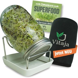 Juego de Vasos de germinación con Cuenco de cerámica, Juego de 1 Unidad para Cultivo de brotes (Incluye Funda oscurecida), Cristales germinados para la cría de brotes, Apto para lavavajillas